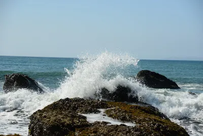 DSC_2577 (Large).JPG